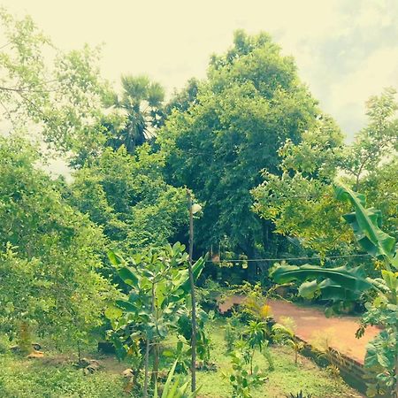 Oleena Home Stay Хабарана Екстериор снимка