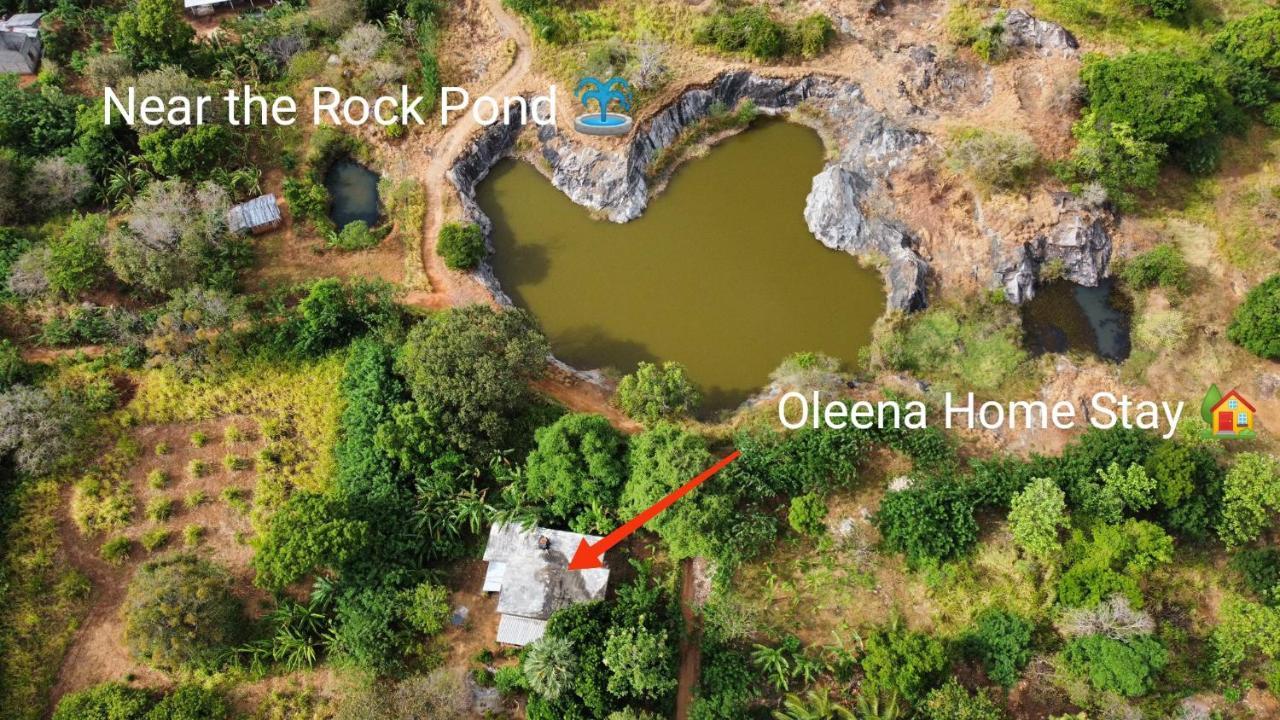Oleena Home Stay Хабарана Екстериор снимка