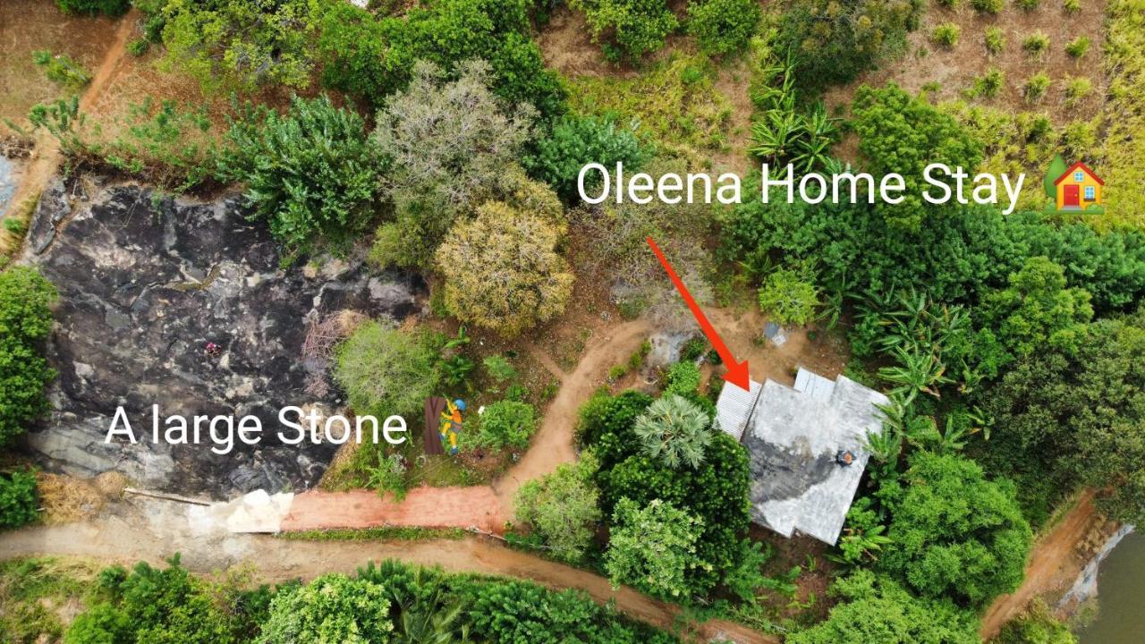 Oleena Home Stay Хабарана Екстериор снимка