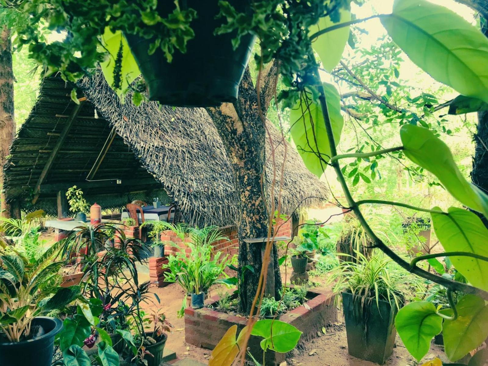 Oleena Home Stay Хабарана Екстериор снимка