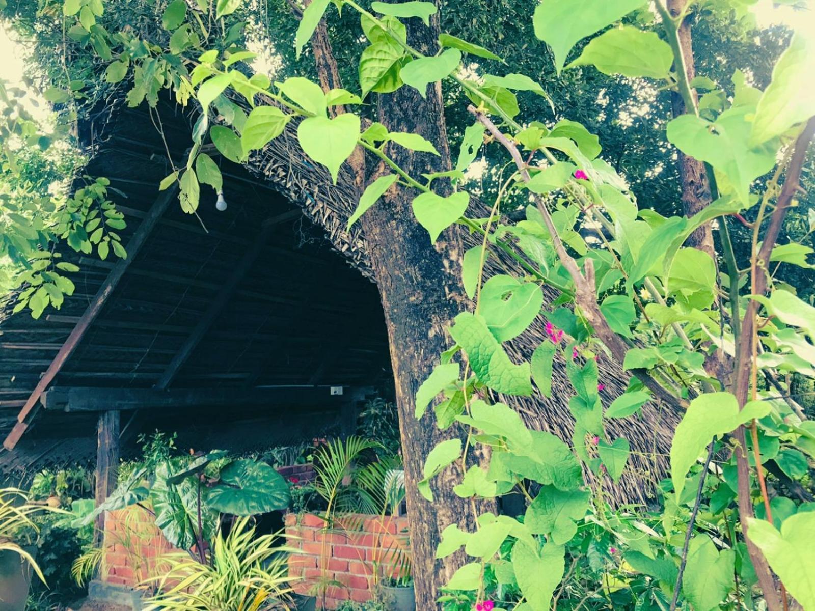 Oleena Home Stay Хабарана Екстериор снимка